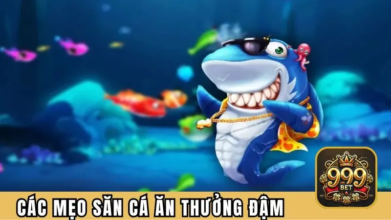 Các mẹo săn cá ăn thưởng đậm