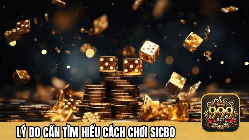 Lý do cần tìm hiểu cách chơi Sicbo chi tiết
